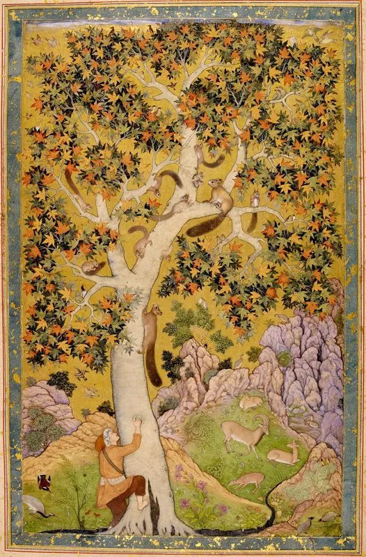 Squirrels in a Plane Tree